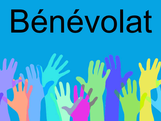 Bénévolat en suisse