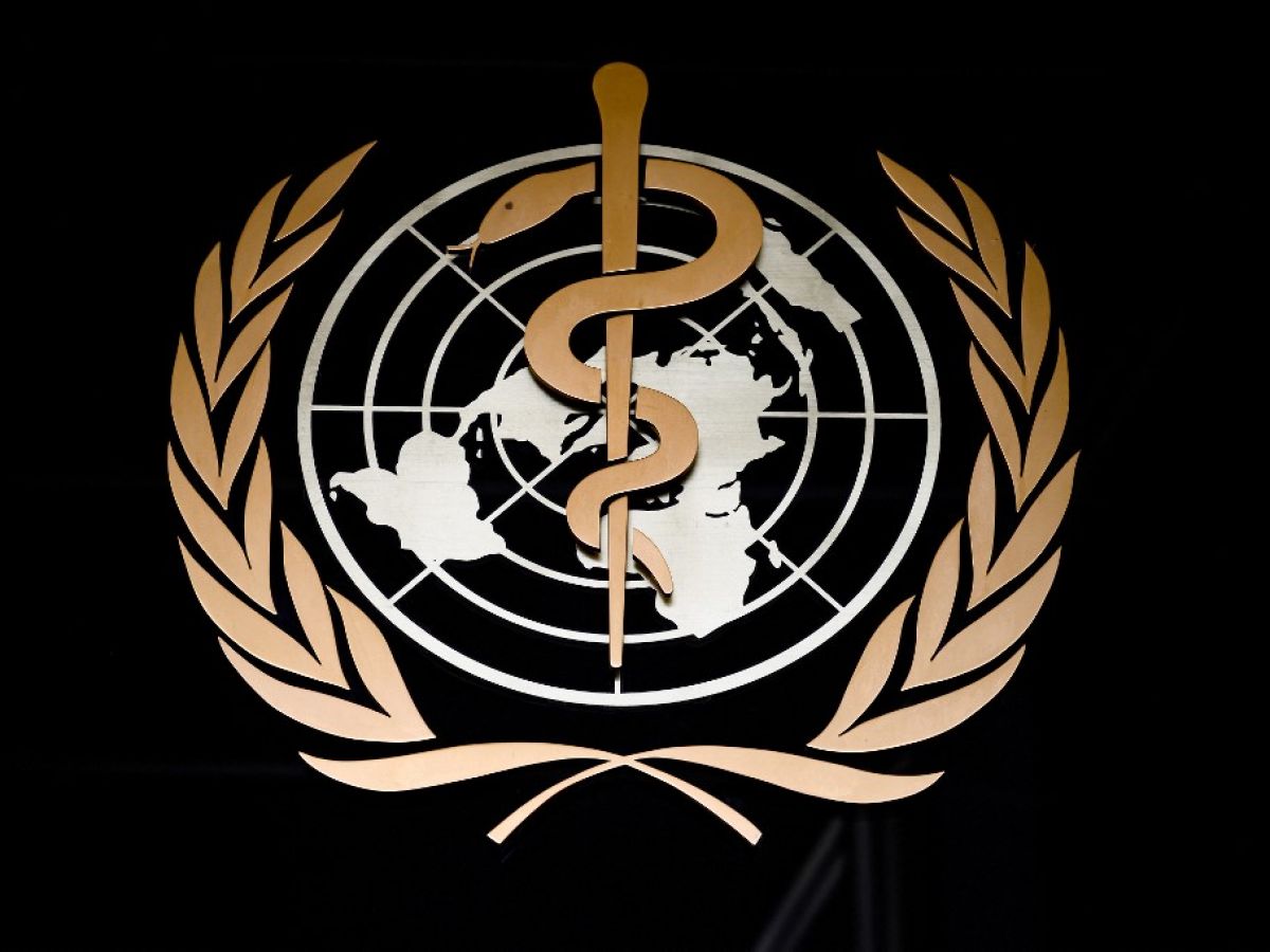World Health Organization Logo, symbol, meaning, history, PNG, brand